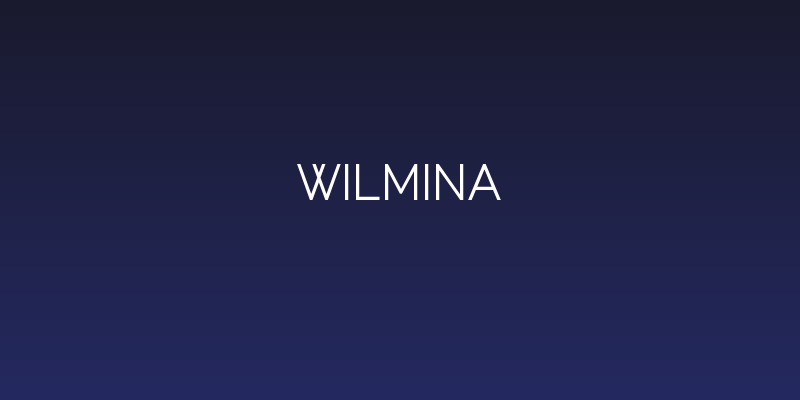 Wilmina Social Header