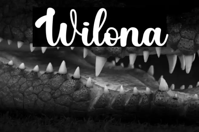 Wilona Font examples