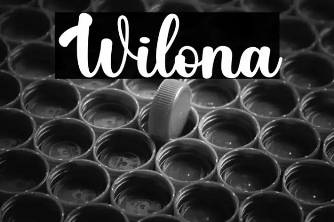 Wilona Font examples