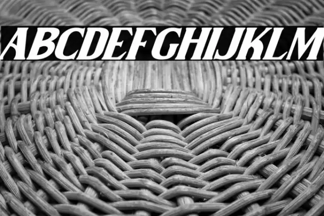 Wilson hawk Italic Font examples