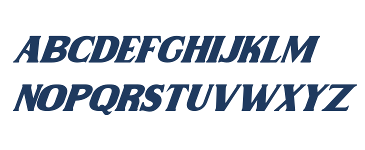 Wilson hawk Italic Lowercase