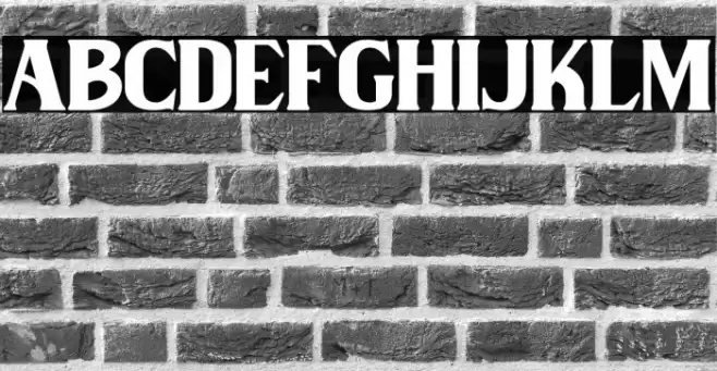 Wilson hawk Font examples