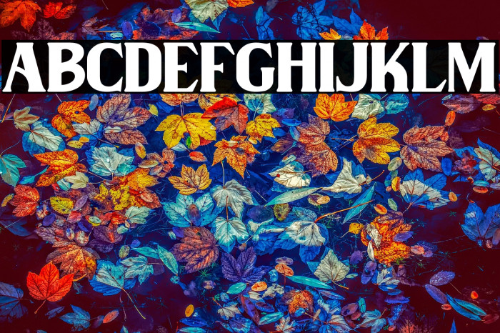 Wilson hawk Example 3