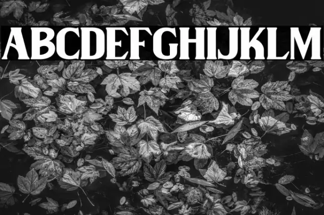 Wilson hawk Font examples