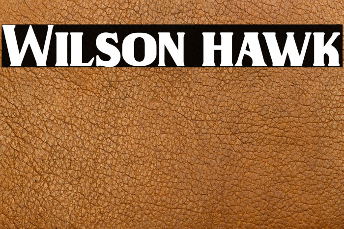 Wilson hawk Example 1