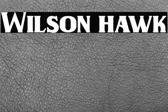 Wilson hawk Font examples