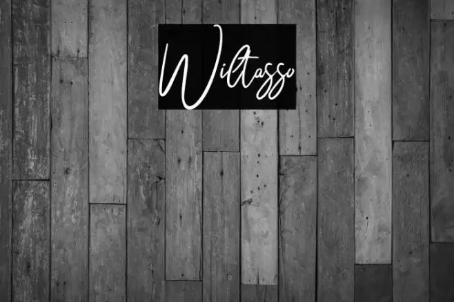 Wiltasso Caratteri examples