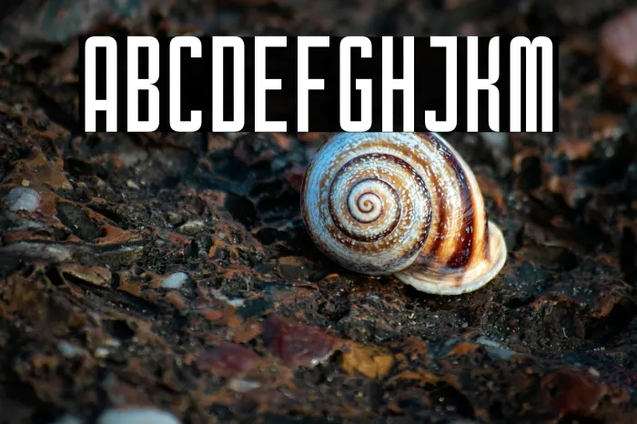 Wiltype Example 2