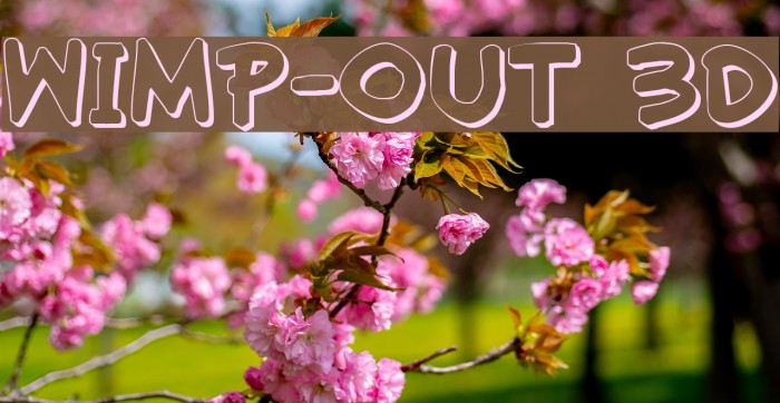 Wimp-Out 3D Font examples