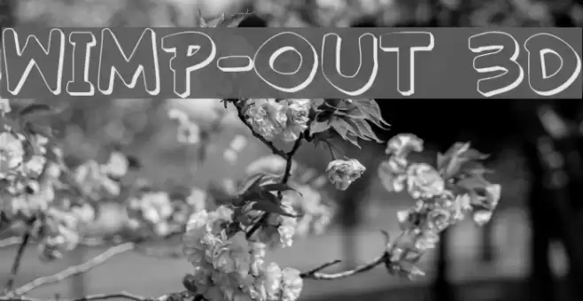 Wimp-Out 3D Caratteri examples