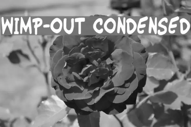 Wimp-Out Condensed Font examples