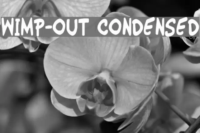 Wimp-Out Condensed Font examples