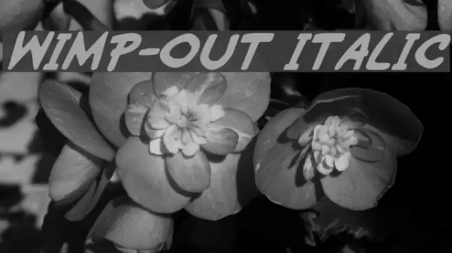 Wimp-Out Italic Font examples