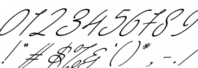 Wimter White Italic Font OTHER CHARS