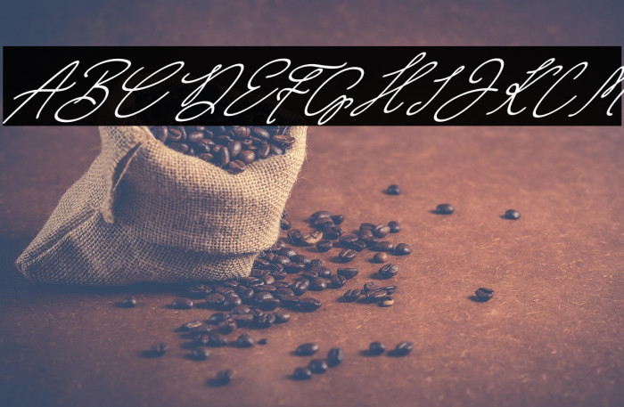 Wimter White Italic Example 2