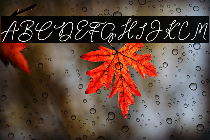 Wimter White Example 1