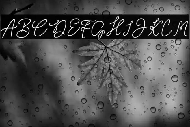 Wimter White Font examples