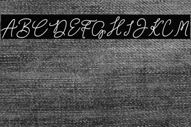 Wimter White Font examples