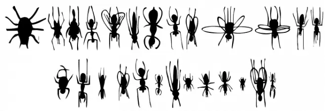 Win Bugs Caratteri MAIUSCOLE