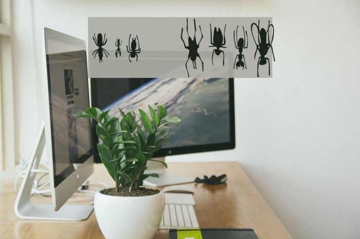 Win Bugs Font examples