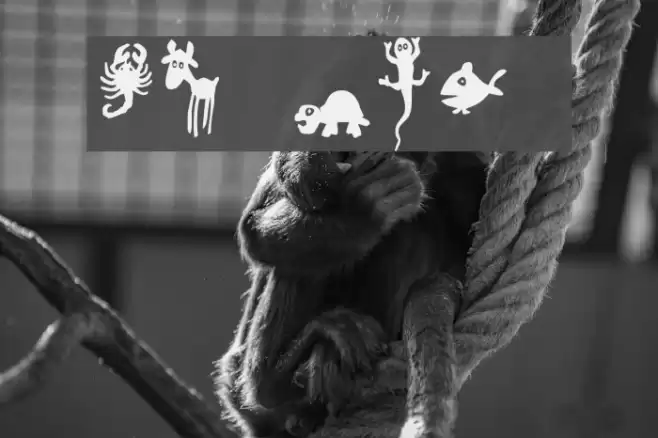 Win Pets 2 Font examples