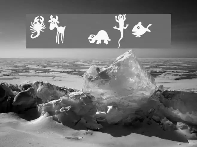 Win Pets 2 Font examples