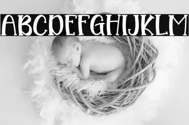 Wina Elicia Font examples