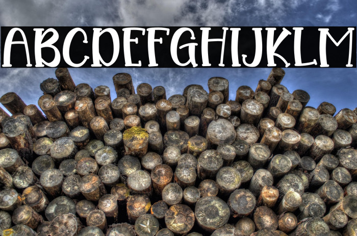 Wina Elicia Example 2