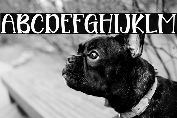 Wina Elicia Example 3