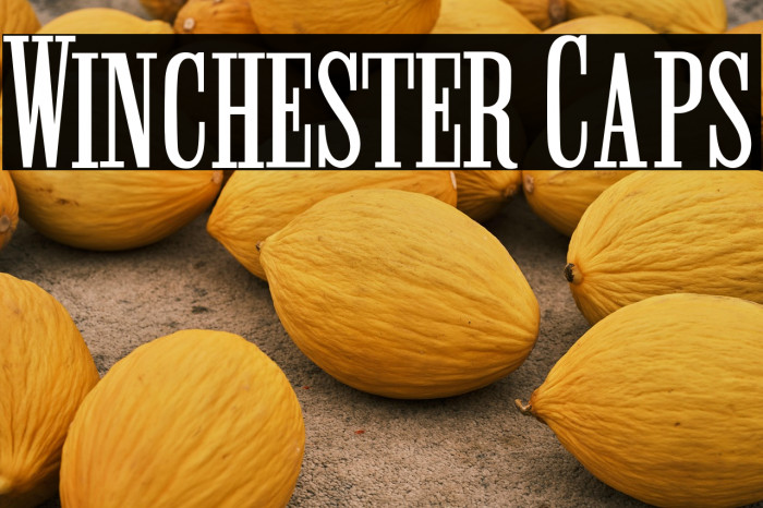 Winchester Caps Example 3