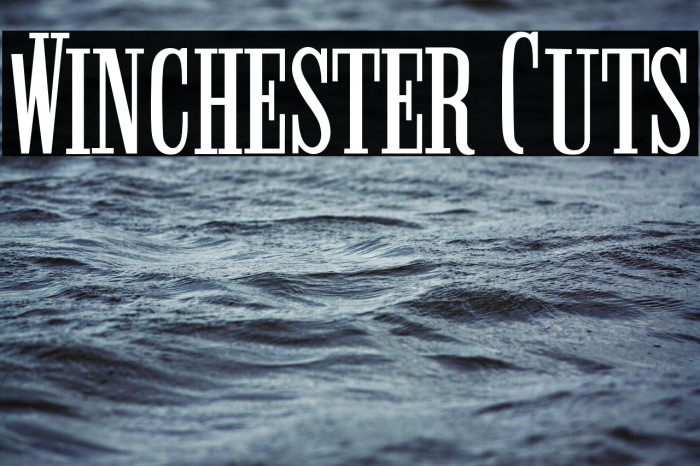 Winchester Cuts Example 2