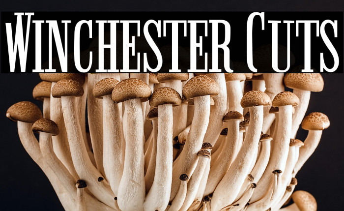 Winchester Cuts Example 3