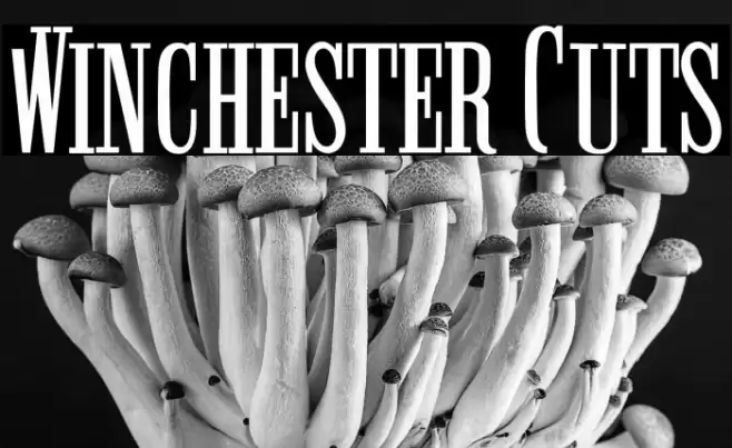 Winchester Cuts Font examples