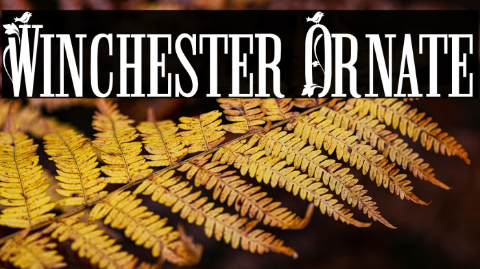 Winchester Ornate Example 1