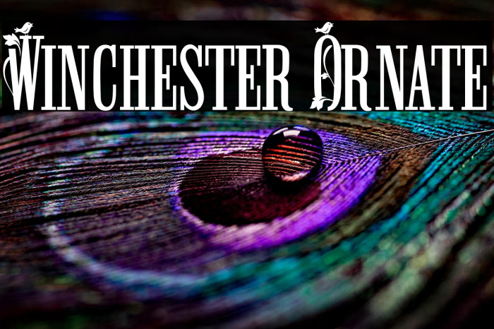 Winchester Ornate Example 3