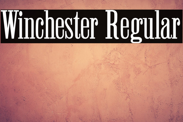 Winchester Regular Example 1