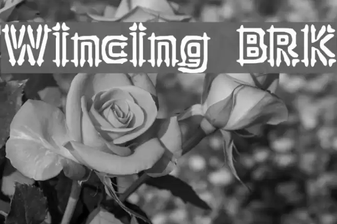 Wincing BRK Font examples