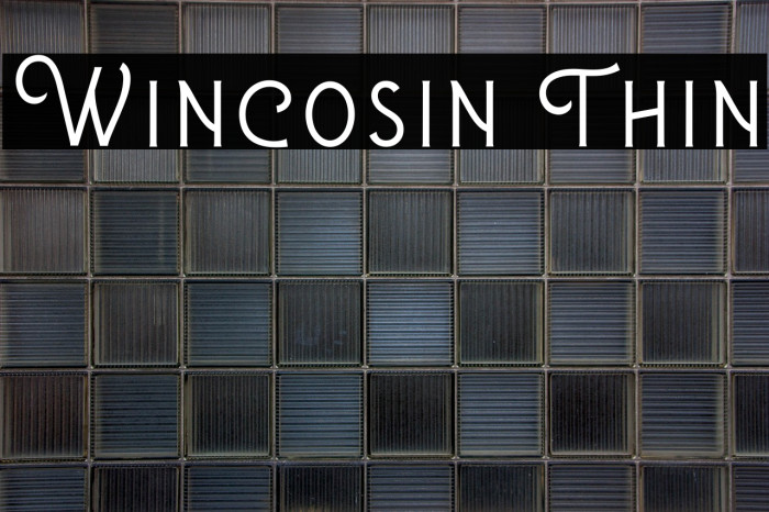 Wincosin Thin Example 1