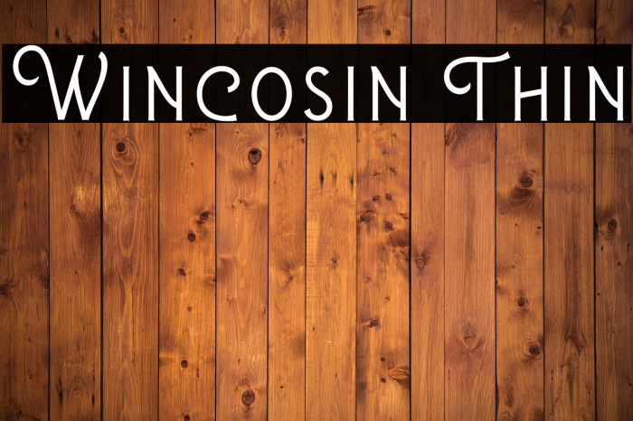 Wincosin Thin Example 2