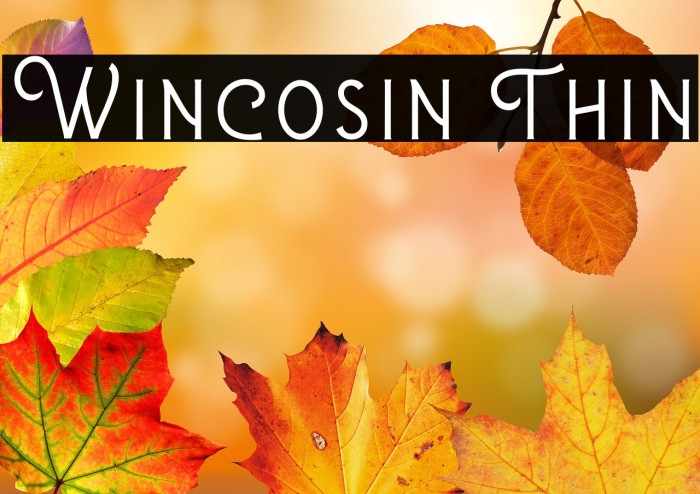 Wincosin Thin Example 3