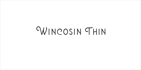 Wincosin Thin Logo