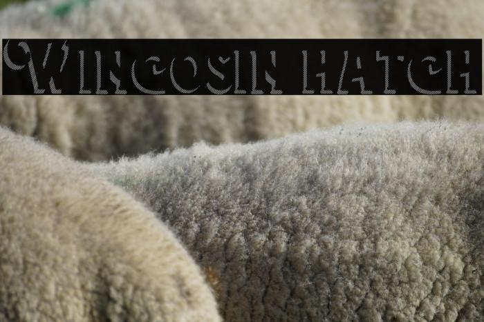 Wincosin hatch Example 3