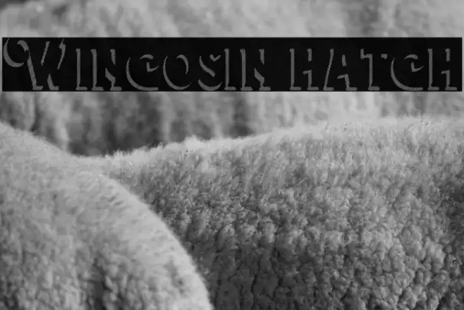 Wincosin hatch Font examples