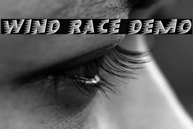 Wind Race Demo 字体 examples