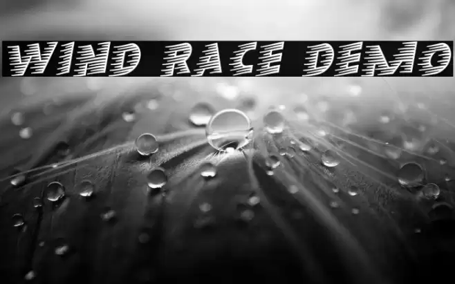 Wind Race Demo 字体 examples