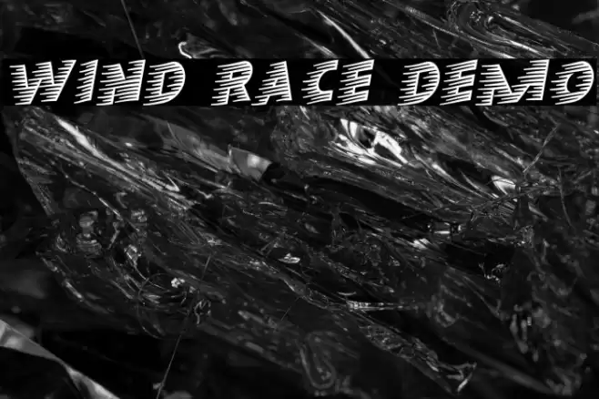 Wind Race Demo 字体 examples