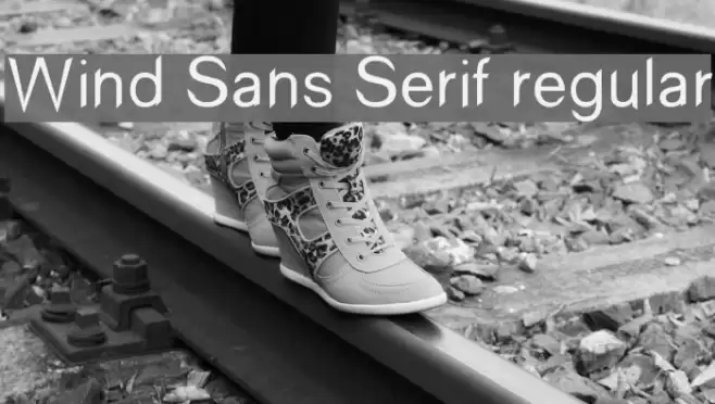 Wind Sans Serif regular Font examples