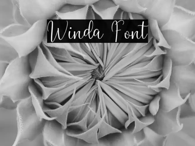 Winda Font examples