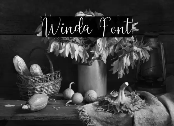 Winda Font examples