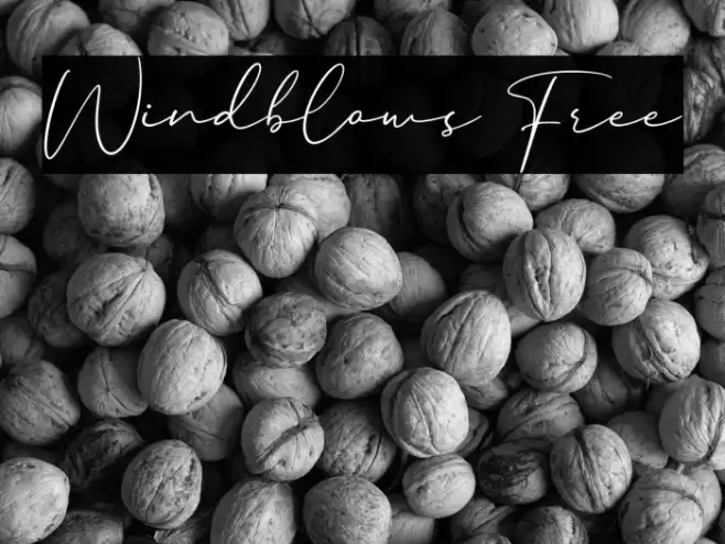 Windblows Free Font examples